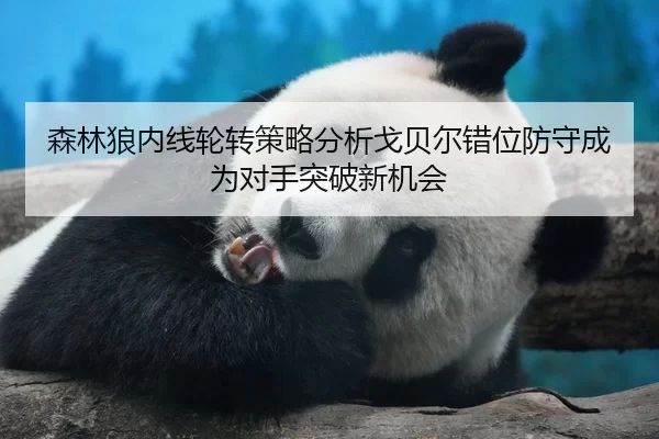 森林狼内线轮转策略分析戈贝尔错位防守成为对手突破新机会