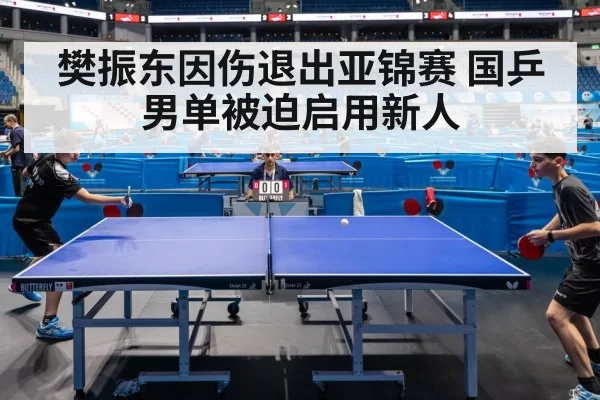 table tennis match(aiyouxi)