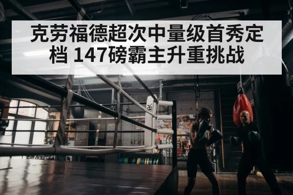 boxer training