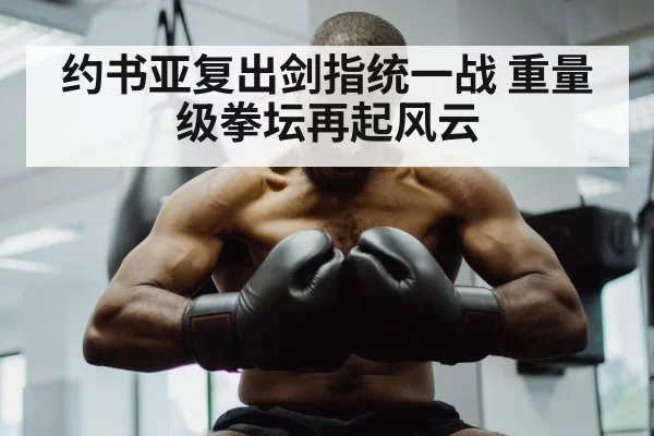 Anthony Joshua boxing（aiyouxi）